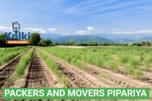 Packers and Movers Pipariya