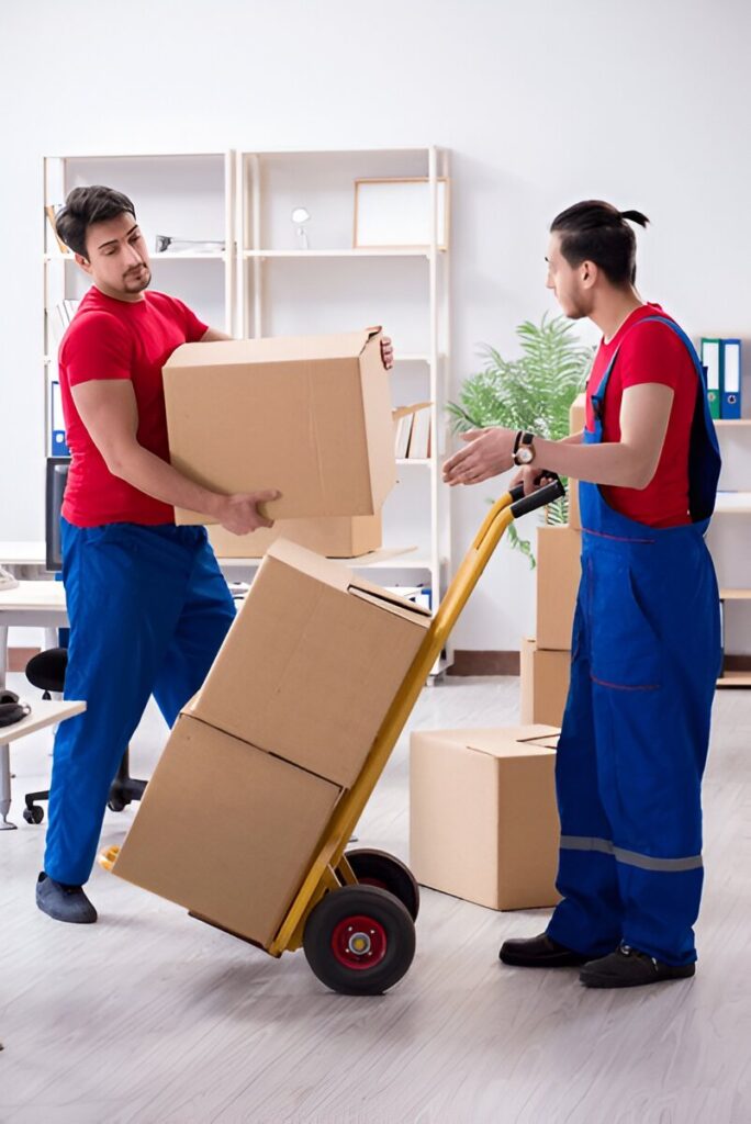 packers and movers betul